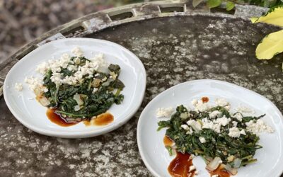 Spinach & Feta Appetizer