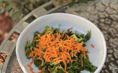 Kale Cafe Salad